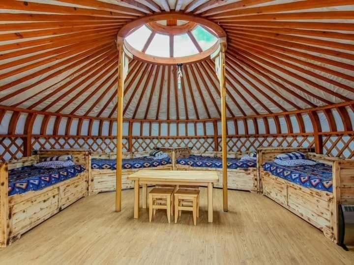 Apache Eco Camp, Terelj Nationalpark Mongolia Otel Bayan Bulagiin Hural Dış mekan fotoğraf